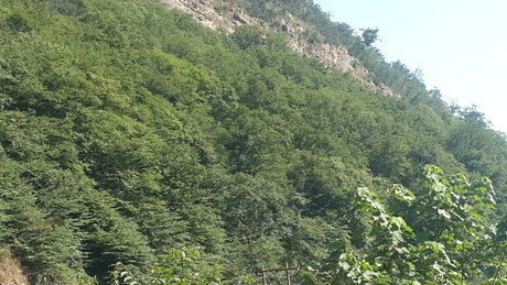 مشارکت مردمی راهکار پایداری طرح های منابع طبیعی