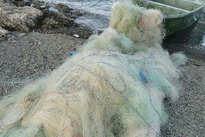 جمع آوری دام های غیر مجاز از دریاچه سد زاینده رود