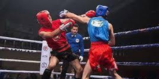 درخشش هرمزگانی‌ها درمسابقات الیت کیک بوکسینگ و موی تای بین المللی گرجستان