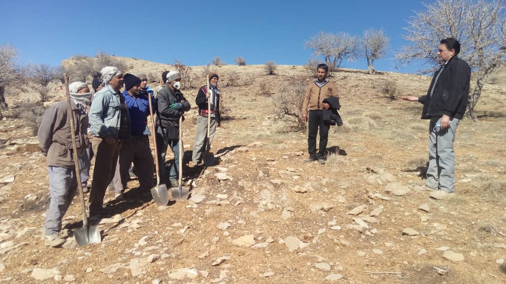 آغاز جنگلکاری ۲۵۰ هکتار از ذخیره گاه جنگلی داغباشی در شهرستان سمیرم