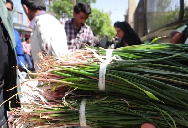 برداشت گیاهان خوراکی در ایلام ممنوع است