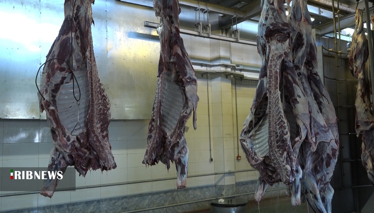 افزایش قیمت گوشت و ناتوانی مردم از خرید