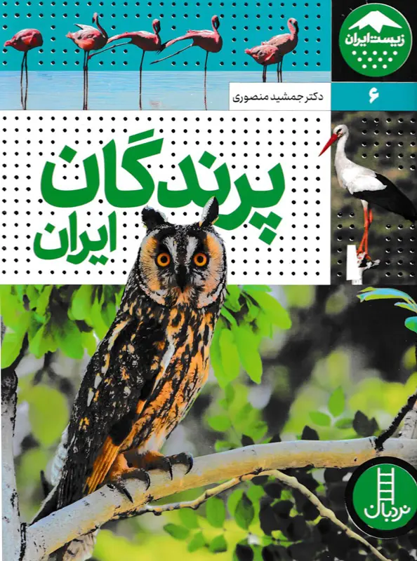 در این کتاب با پرندگان آشنا شوید