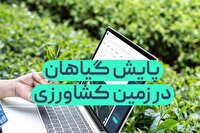 راه اندازی سامانه هوشمند پایش مصرف آب در مناطق کشاورزی استان