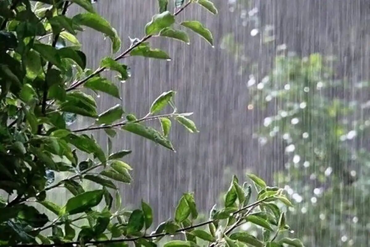 بارش‌های رگباری آذربایجان‌غربی تا جمعه ادامه دارد