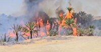 مهار آتش سوزی در جنگل‌های روستای قائم آباد در سندرک