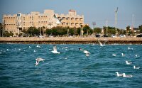 پیش‌بینی وزش باد برای استان بوشهر