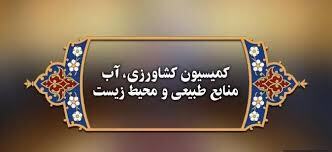 تاکید دولت و مجلس بر تامین صدرصدی کالا‌های ضروری مردم
