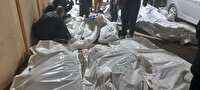 شهادت ۳۰۰ فلسطینی در نوار غزه در ۴۸ ساعت گذشته