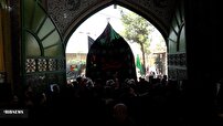 فردا، آیین نخل‌گردانی روز عاشورا در بادرود