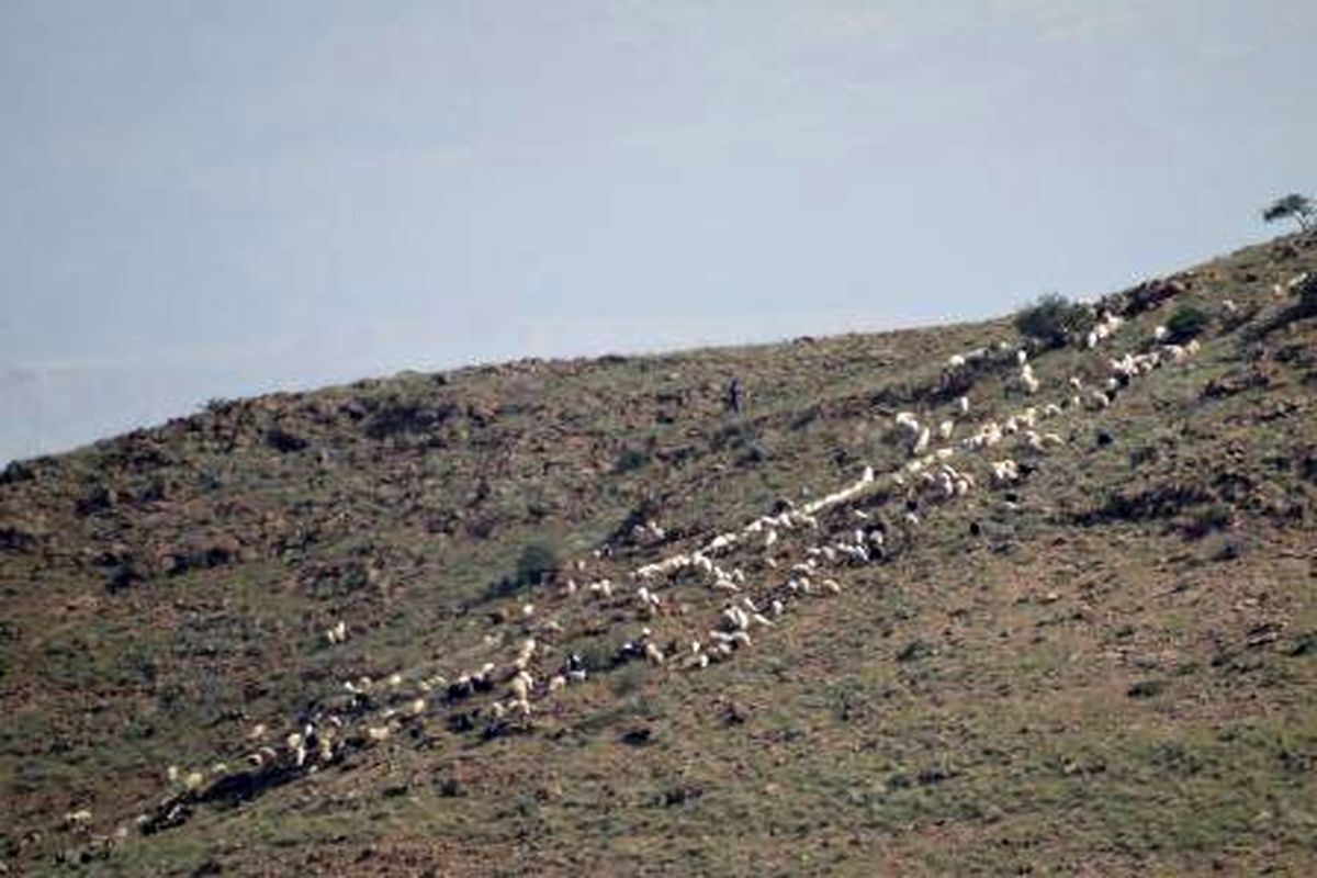 بررسی میدانی وضعیت محیط زیست شهرستان خوی