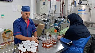 خوانسار، قطب زنبورداری و بسته‌بندی عسل در استان اصفهان