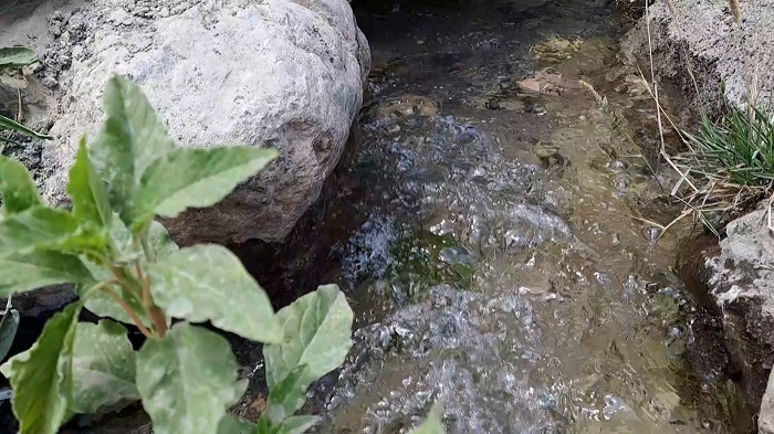 پیام سپاهان