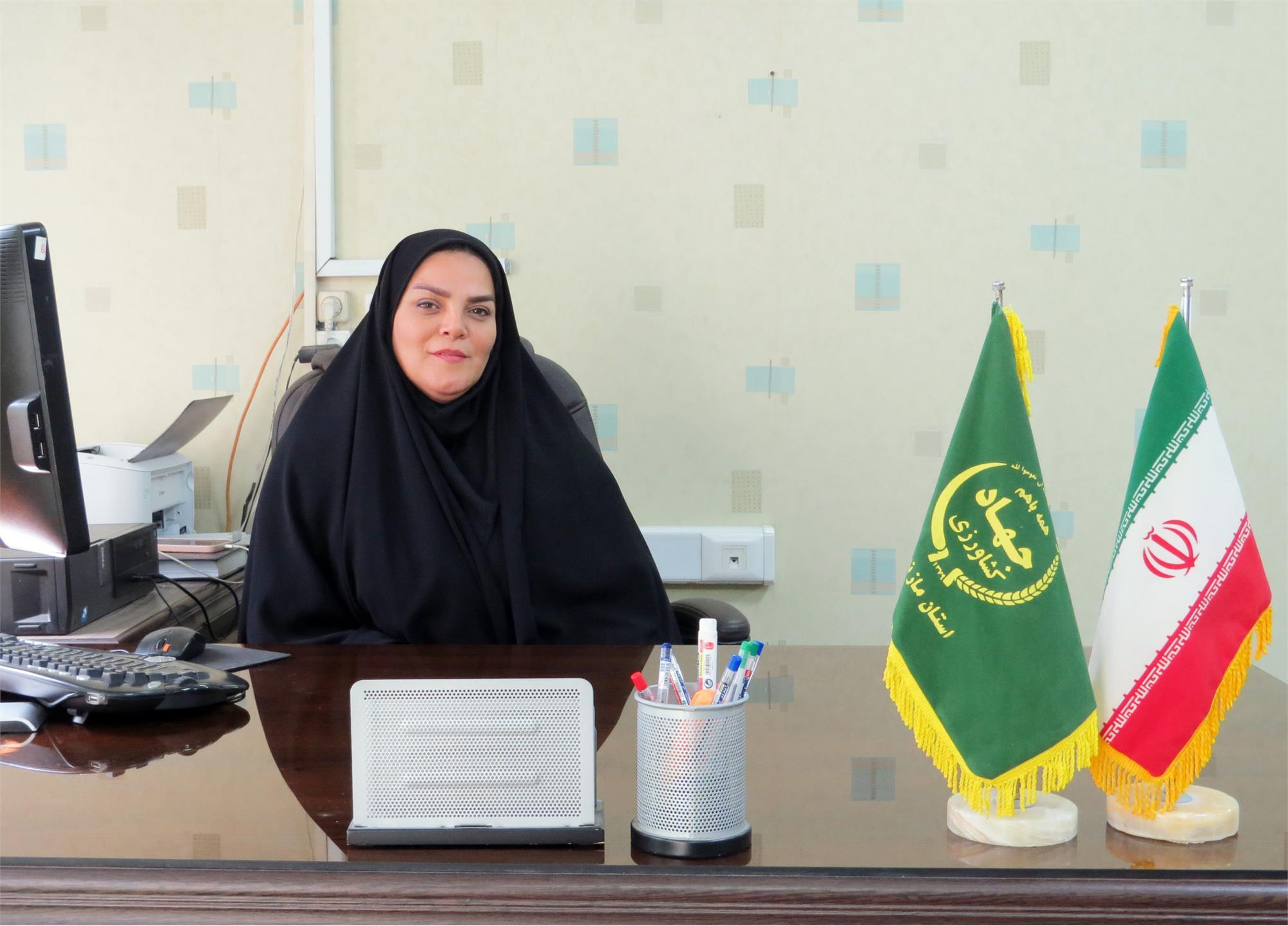 برداشت ۱۴۱ تن محصول کلزا از مزارع قائم شهر