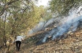 آتش سوزی منطقه شاه بهرام در شهرستان باشت