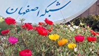 رویش گل‌ها درتابستان نویدبخش روزهای بهتر