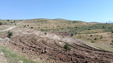 سرعت گرفتن تخریب مراتع محدوده دره اسپیران در مراغه