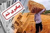 پرداخت مطالبات گندمکاران کهگیلویه و بویراحمدی