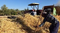 آغاز برداشت جو در شهرستان خور و بیابانک