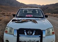 دستگیری یک شکارچی سابقه دار در اردستان