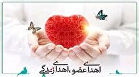 جان بخشی کودک ۱۱ ساله مشهدی به ۳ بیمار