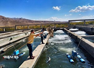 مزارع پرورش ماهی به روایت تصویر
