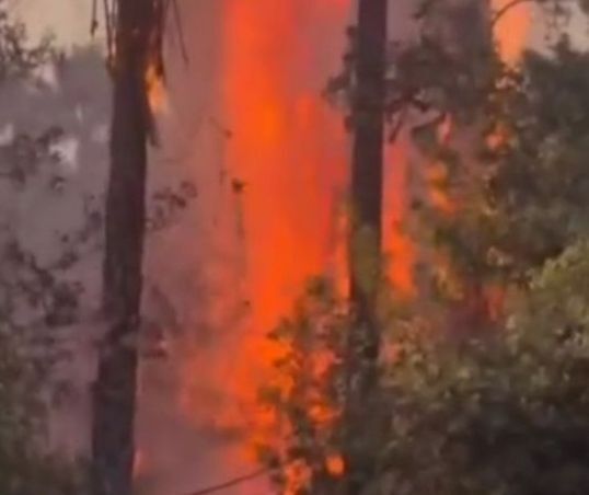 آتش سوزی در باغ تفریحی چشمه بلقیس چرام