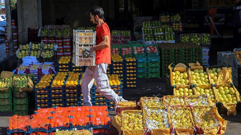 نگاهی به موثرترین عوامل گرانی میوه در فصل برداشت