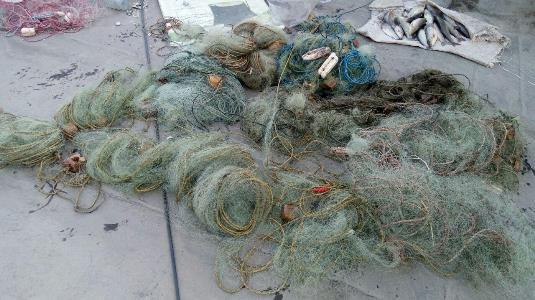 جمعآوری ادوات صید غیرمجاز از رودخانه زاب سردشت جمعآوری ادوات صید غیرمجاز از رودخانه زاب سردشت