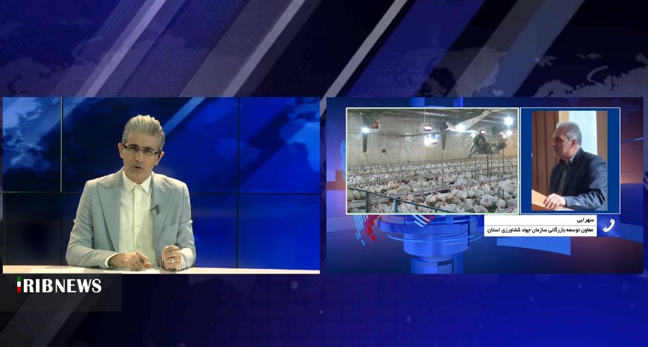 مرغِ گران، مدیریتِ نایاب