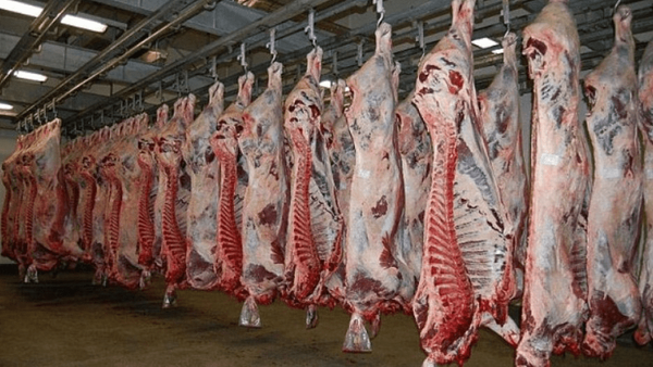 کشف و انهدام باند بزرگ توزیع گوشتهای آلوده در اصفهان کشف و انهدام باند بزرگ توزیع گوشتهای آلوده در اصفهان